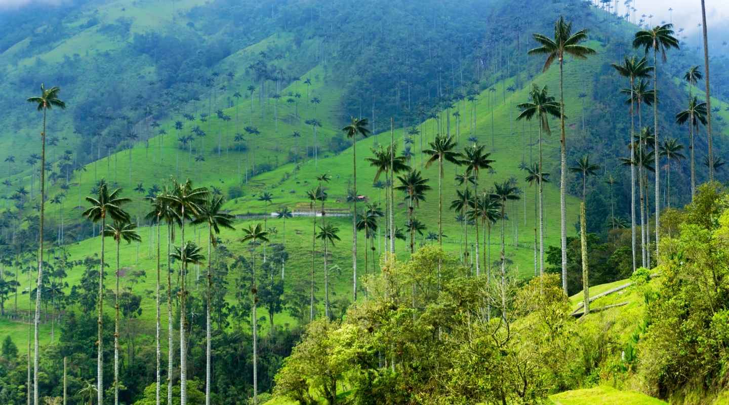 Ruta de la Esperanza - Valle, Quindío y Risaralda. (2)