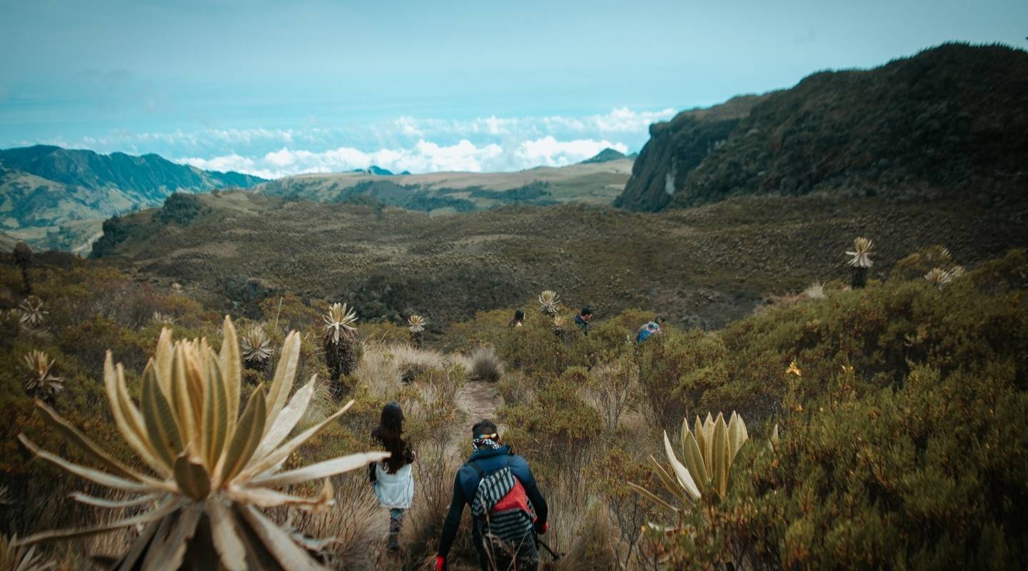 filandia, murillo y manizales